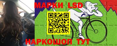 шишки Гусь-Хрустальный