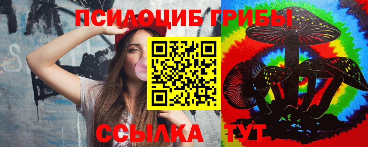 Мытищи  Псилоцибиновые грибы прущие грибы  Вход с VPN  Псилоцибиновые грибы мухоморы 